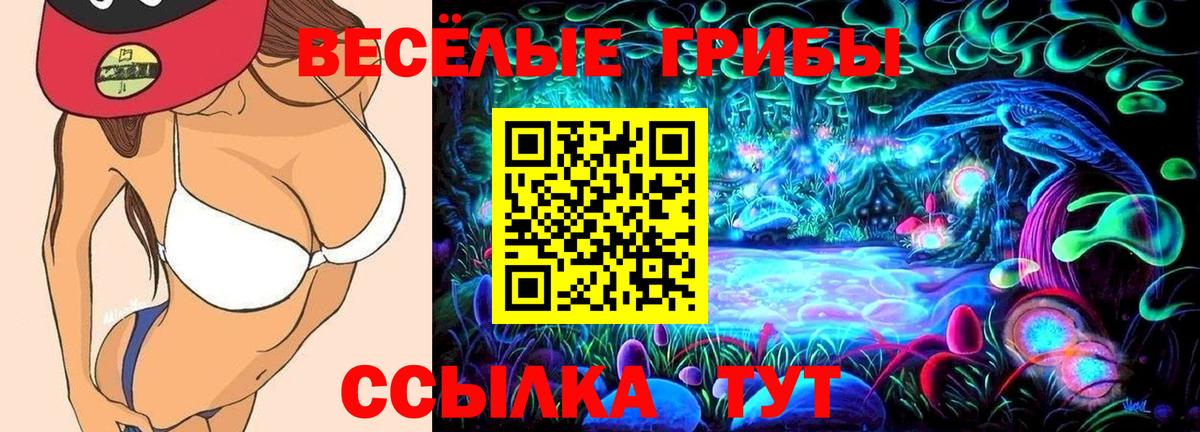 Псилоцибиновые грибы MAGIC MUSHROOMS  Вход с VPN  Малгобек 